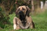 FILA BRASILEIRO 020